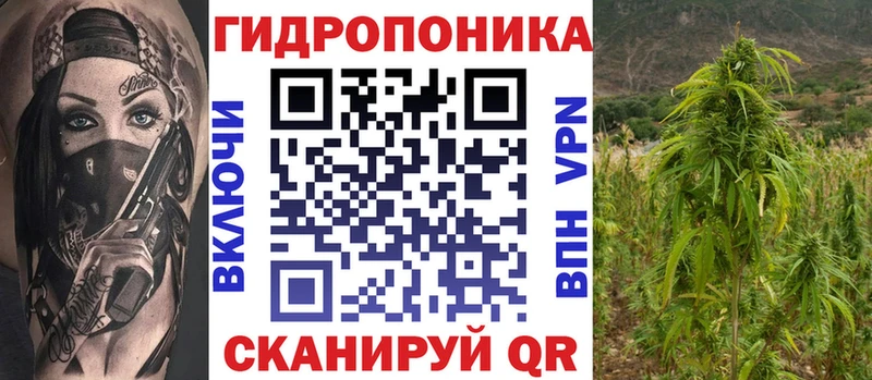 ОМГ ОМГ ТОР  Камешково  Бошки марихуана марихуана 
